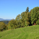 Natur 141018_7.JPG