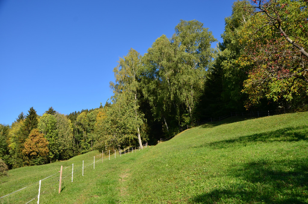Natur 141018_8.JPG