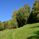 Natur 141018_8.JPG