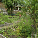 Hirschegg Naturhotel Chesa Valisa G  _4_.JPG