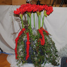 DSC_4578.JPG