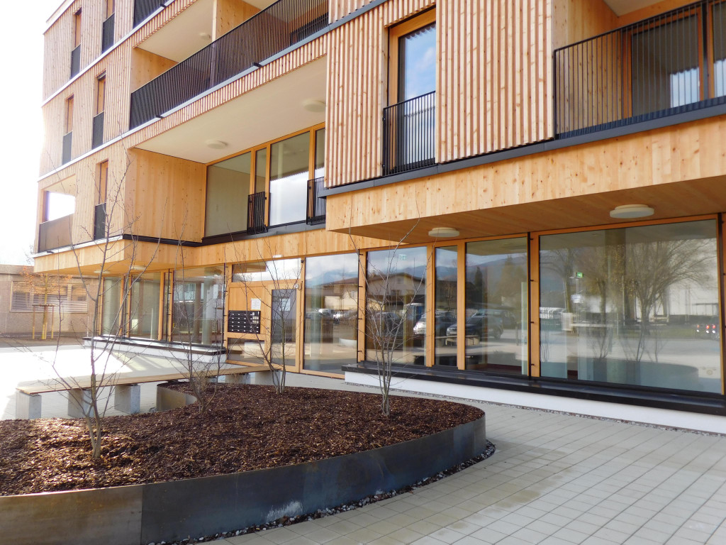 DSCI0887.JPG