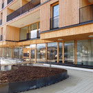 DSCI0887.JPG