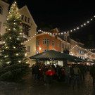 IMG_8100.JPG
