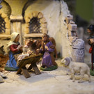 IMG_8232.JPG