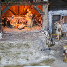 IMG_8243.JPG