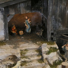 IMG_8269.JPG