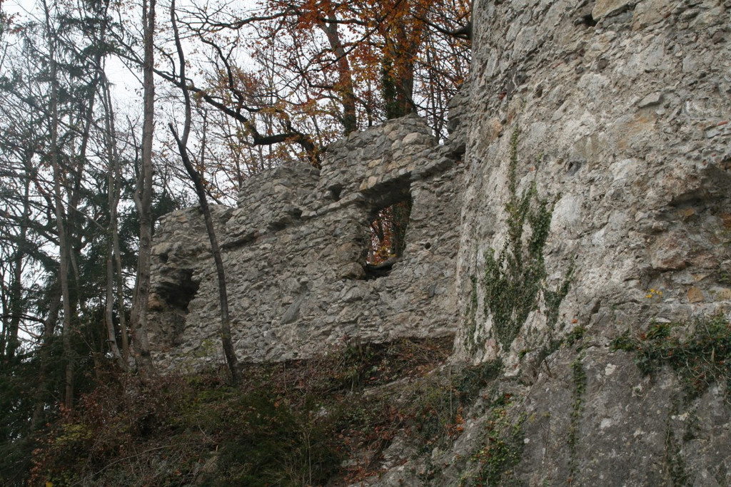 IMG_7013 _Mittel_.jpeg