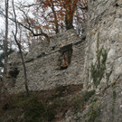 IMG_7013 _Mittel_.jpeg