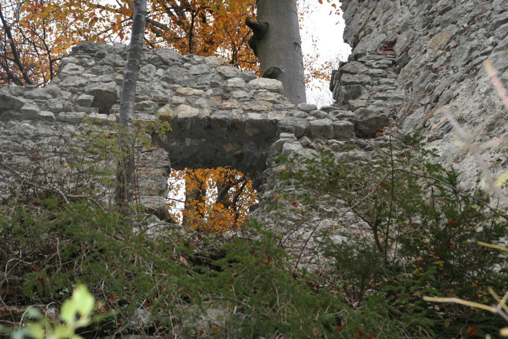 IMG_7018 _Mittel_.jpeg