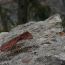 IMG_7022 _Mittel_.jpeg