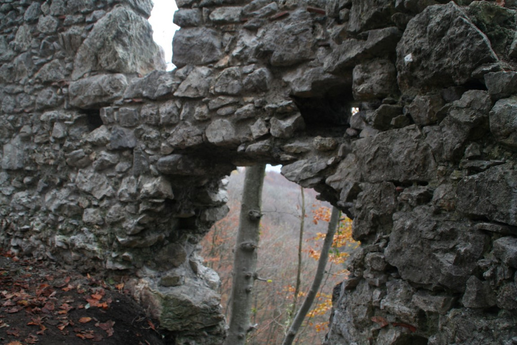 IMG_7032 _Mittel_.jpeg
