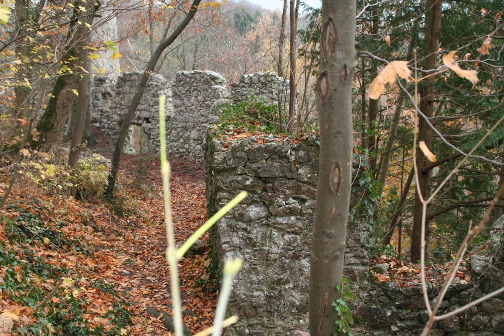 IMG_7055 _Mittel_.jpeg