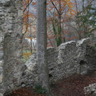 IMG_7058 _Mittel_.jpeg