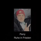 perry6.JPG