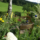 Riefensberg Niehsen G _3_.JPG