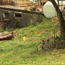 Alberschwende4.jpg