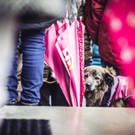 wawo_menschenrechtsdemo-ems_fs18-49.JPG