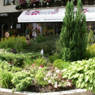 Riezlern Ortsbild G  _2_.JPG