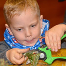Adventkranzbinden_24_2877_5c015bf25b3.jpg