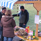 IMG_0010.JPG
