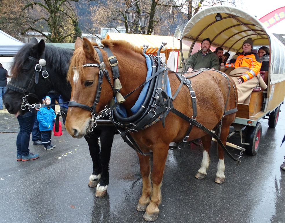 Christkindle2 Kutsche.jpg