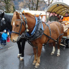Kutschenfahrten und Karussell auf dem Christkindlemarkt