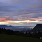 DSC_0026_1.jpg