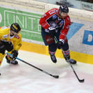Vienna Capitals - Zagreb