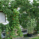 Schwarzenberg Berchtold G  _2_.JPG