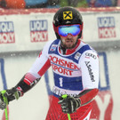 France_Alpine_Skiing_World_Cup_09465.jpg