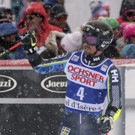 France_Alpine_Skiing_World_Cup_41793.jpg