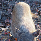 PC019801.JPG