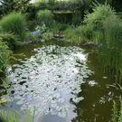 Altach Riedmann G  _8_.JPG