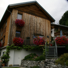 Fraxern Hammerer G.JPG