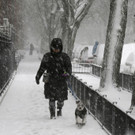 Midwest_Snowstorm_35401.jpg