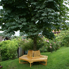 Fraxern Nachbauer Karin G  _6_.JPG