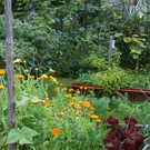 Fraxern Nachbauer Karin G  _8_.JPG