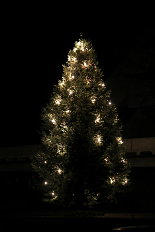 IMG_8811.JPG