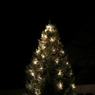 IMG_8811.JPG