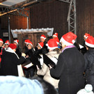 DSC_0085.JPG