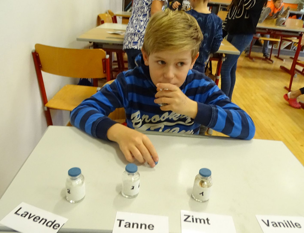 SMS7b.jpg
