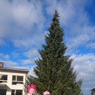 DSC_4012.JPG