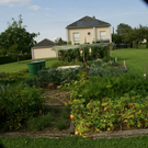 G__tzis Lampert G  _3_.JPG