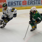 DSC05734.JPG