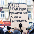 Gro__demo gegen Schwarz-Blau Regierung _37 von 121_.jpg