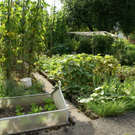 G__tzis Schiefer G .JPG