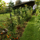 G__tzis Schiefer G  _3_.JPG