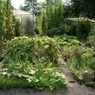 G__tzis Schiefer G  _5_.JPG