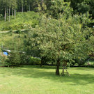 G__tzis Schiefer G  _6_.JPG